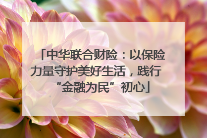 中华联合财险：以保险力量守护美好生活，践行“金融为民”初心