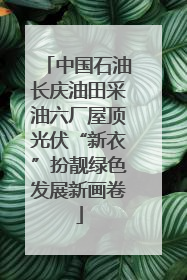 中国石油长庆油田采油六厂屋顶光伏“新衣”扮靓绿色发展新画卷