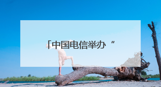 中国电信举办“智惠低空 领航未来”第二届低空经济合作发展大会
