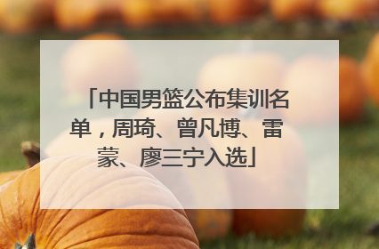 中国男篮公布集训名单，周琦、曾凡博、雷蒙、廖三宁入选