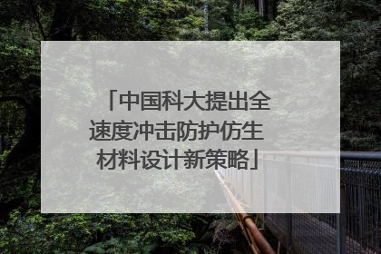 中国科大提出全速度冲击防护仿生材料设计新策略