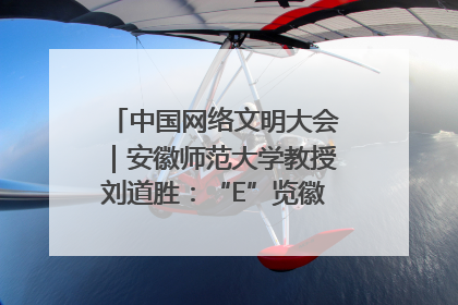 中国网络文明大会｜安徽师范大学教授刘道胜：“E”览徽风，构筑中华民族共有精神家园