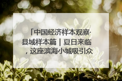 中国经济样本观察·县域样本篇｜夏日来临，这座滨海小城吸引众多年轻人打卡……