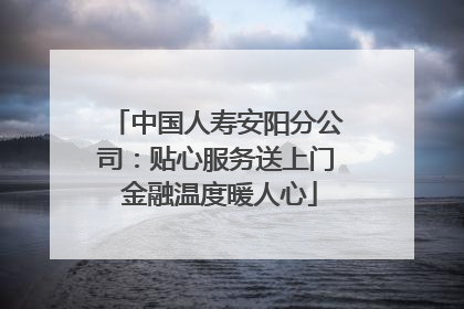 中国人寿安阳分公司：贴心服务送上门 金融温度暖人心