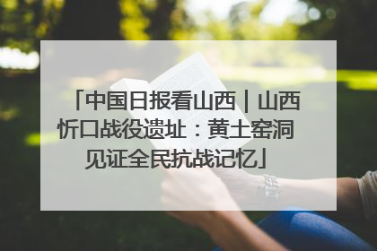 中国日报看山西｜山西忻口战役遗址：黄土窑洞见证全民抗战记忆