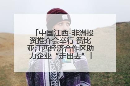 中国江西-非洲投资推介会举行 赞比亚江西经济合作区助力企业“走出去”