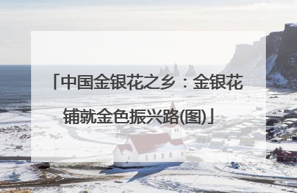 中国金银花之乡：金银花铺就金色振兴路(图)