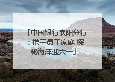 中国银行襄阳分行：携手员工家庭 探秘海洋迎六一