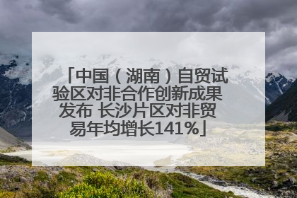 中国（湖南）自贸试验区对非合作创新成果发布 长沙片区对非贸易年均增长141%