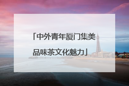 中外青年厦门集美品味茶文化魅力