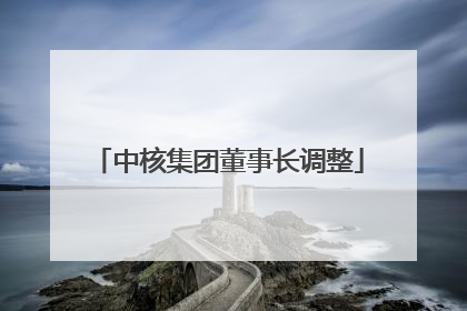 中核集团董事长调整