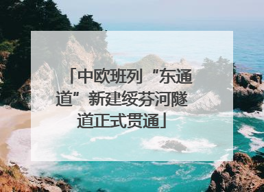 中欧班列“东通道”新建绥芬河隧道正式贯通
