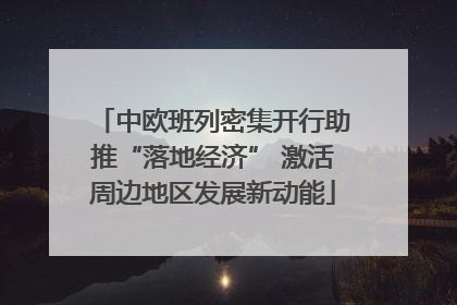 中欧班列密集开行助推“落地经济” 激活周边地区发展新动能