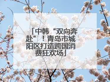 中韩“双向奔赴”！青岛市城阳区打造跨国消费狂欢场
