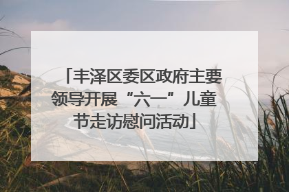 丰泽区委区政府主要领导开展“六一”儿童节走访慰问活动