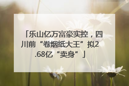 乐山亿万富豪实控，四川前“卷烟纸大王”拟2.68亿“卖身”