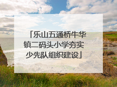 乐山五通桥牛华镇二码头小学夯实少先队组织建设