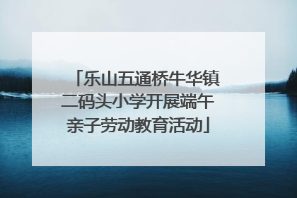 乐山五通桥牛华镇二码头小学开展端午亲子劳动教育活动
