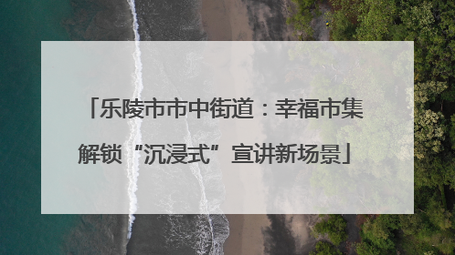 乐陵市市中街道：幸福市集解锁“沉浸式”宣讲新场景