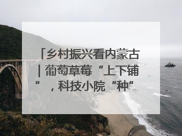 乡村振兴看内蒙古｜葡萄草莓“上下铺”，科技小院“种”出三倍效益