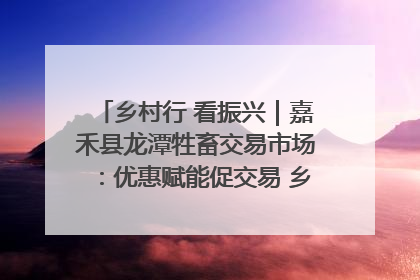 乡村行 看振兴｜嘉禾县龙潭牲畜交易市场：优惠赋能促交易 乡村振兴添动能