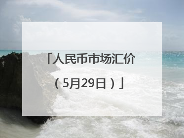 人民币市场汇价（5月29日）