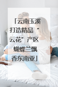 云南玉溪打造精品“云花”产区 蝴蝶兰飘香东南亚