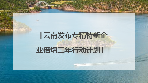 云南发布专精特新企业倍增三年行动计划
