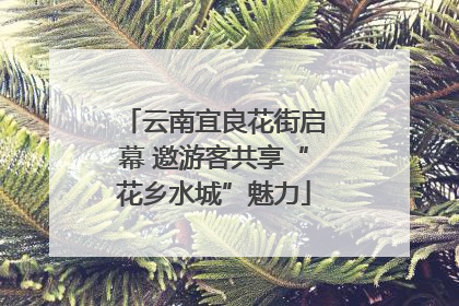 云南宜良花街启幕 邀游客共享“花乡水城”魅力
