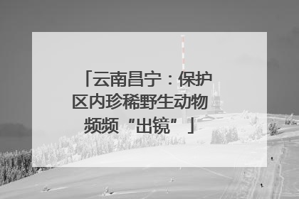 云南昌宁：保护区内珍稀野生动物频频“出镜”