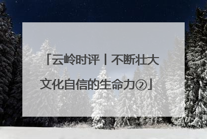 云岭时评丨不断壮大文化自信的生命力②