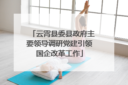 云霄县委县政府主要领导调研党建引领国企改革工作