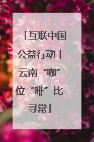 互联中国公益行动丨云南“咖”位“啡”比寻常