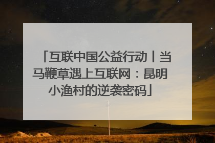 互联中国公益行动丨当马鞭草遇上互联网：昆明小渔村的逆袭密码