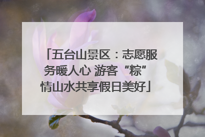 五台山景区：志愿服务暖人心 游客“粽”情山水共享假日美好