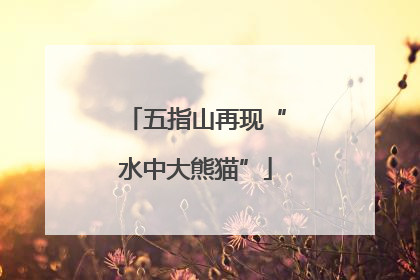 五指山再现“水中大熊猫”
