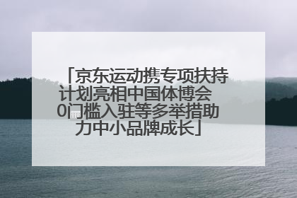 京东运动携专项扶持计划亮相中国体博会 0门槛入驻等多举措助力中小品牌成长
