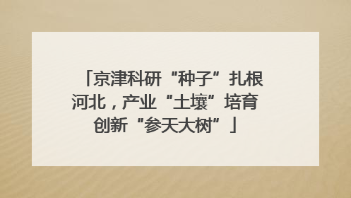 京津科研“种子”扎根河北，产业“土壤”培育创新“参天大树”