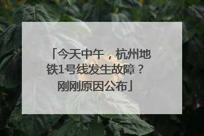 今天中午，杭州地铁1号线发生故障？刚刚原因公布