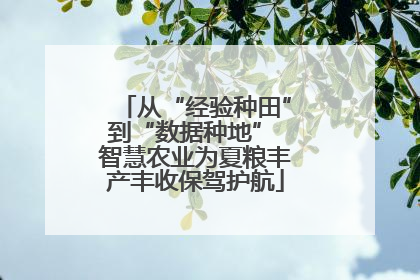 从“经验种田”到“数据种地” 智慧农业为夏粮丰产丰收保驾护航