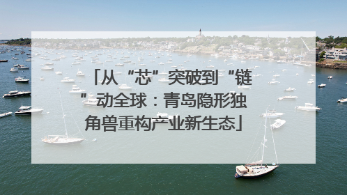 从“芯”突破到“链”动全球：青岛隐形独角兽重构产业新生态