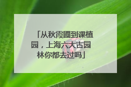从秋霞圃到课植园，上海六大古园林你都去过吗
