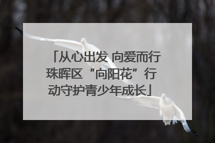 从心出发 向爱而行 珠晖区“向阳花”行动守护青少年成长