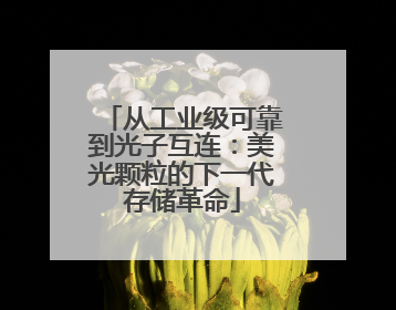 从工业级可靠到光子互连：美光颗粒的下一代存储革命