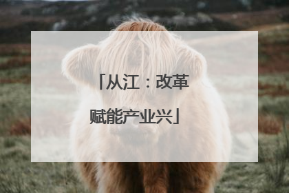 从江：改革赋能产业兴