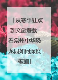 从赛事狂欢到文旅爆款 看常州中华恐龙园如何深度破圈