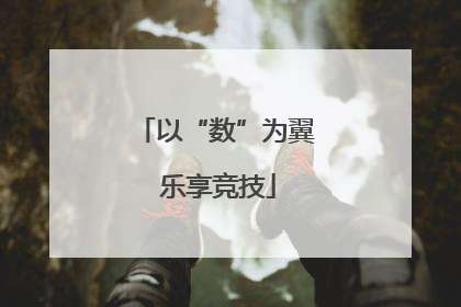以“数”为翼 乐享竞技