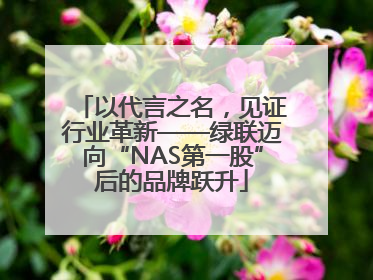 以代言之名，见证行业革新——绿联迈向“NAS第一股”后的品牌跃升