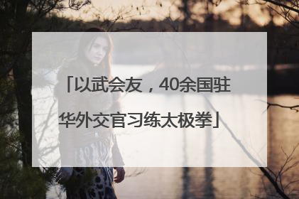以武会友，40余国驻华外交官习练太极拳