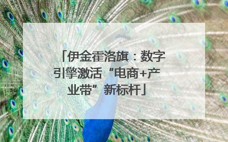 伊金霍洛旗：数字引擎激活“电商+产业带”新标杆